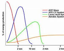 Image result for Alactic Energy System