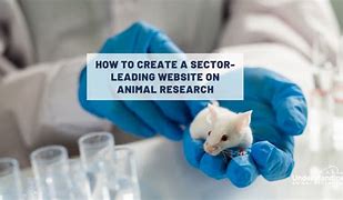 Image result for Animal Research in the Wild