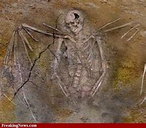 Image result for Nephilim Bones