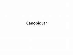 Image result for Canopic Porcline Jar