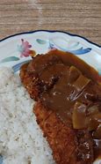 Image result for Tori Katsu