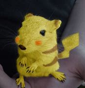 Image result for Real Life Pikachu Animal