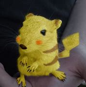 Image result for Real Life Pikachu