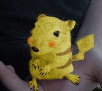 Image result for Real Life Pikachu