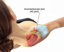 Image result for AC Joint Movements