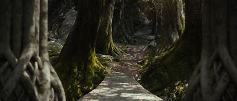 Image result for Mirkwood The Hobbit