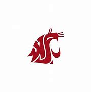 Image result for Wazzu Logo HD