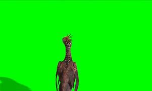 Image result for Chroma Key Studio Set