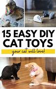 Image result for Easy DIY Cat Toys