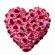 Image result for red heart flowers