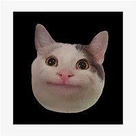 Image result for Cat Meme Face Teeth