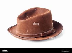 Image result for Turquoise Brown White Felt Hat