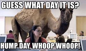 Image result for Happy Hump Day Commercial