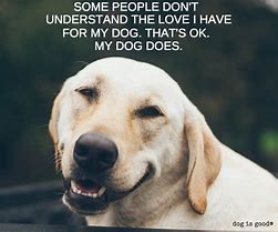 Image result for Dog Jokes for Lovers