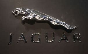 Image result for Blue Jaguar Logo