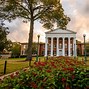 Image result for Ole Miss Greek Row