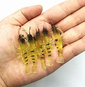 Image result for Artificial Shrimp Lures