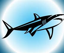 Image result for Shark Fin Clip Art