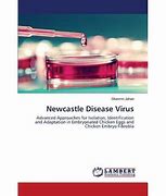 Image result for Newcastle Virus