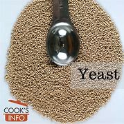 Image result for Yeast Eyes