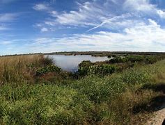 Image result for Cattail Marsh Beaumont TX