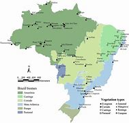 Image result for Brazil Biome Map