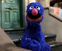 Image result for Sesame Street Grover as Doctor