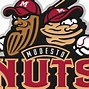 Image result for 3X5 Flag Minor League Baseball