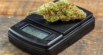 Image result for 20 Grams Weed