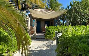 Image result for Castaway Cay Cabana 9