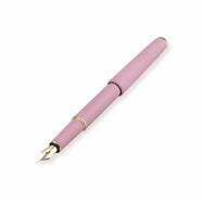 Image result for Fountain Pen Long Handle