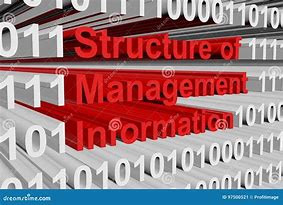 Image result for Management Information System Diagram