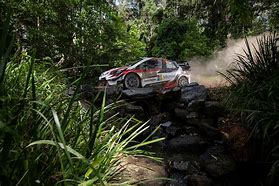 Image result for FIA World Rally