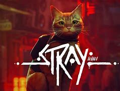 Image result for Stray Game Wallpaper 4K