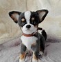 Image result for Chihuahua in Toy Oven