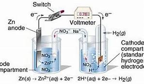 Image result for Standard Electrode Potential