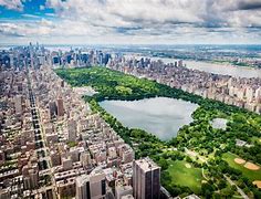 Image result for Central Park New York Summer Heat