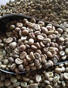 Image result for Robusta Coffee Beans