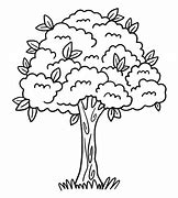 Image result for Tree Outline Graphic