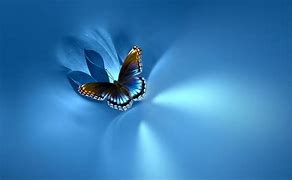 Image result for Blue Butterfly Desktop Backgrounds