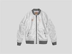 Image result for Mockup Bomber Biru