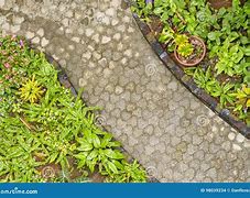 Image result for Yard Top View