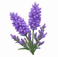 Image result for Lavender Emoji