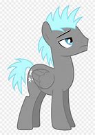 Image result for Pony Hair Boys