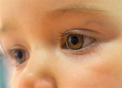 Image result for Newt Eyes