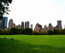 Image result for Central Park New York Summer Heat