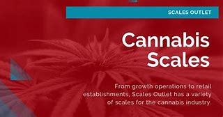 Image result for Marijuana Scales