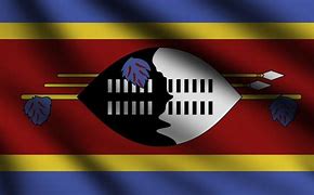 Image result for Swaziland Flag