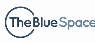 Image result for Blue Space Africa Logo