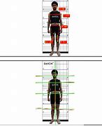 Image result for Postural Plumb Line